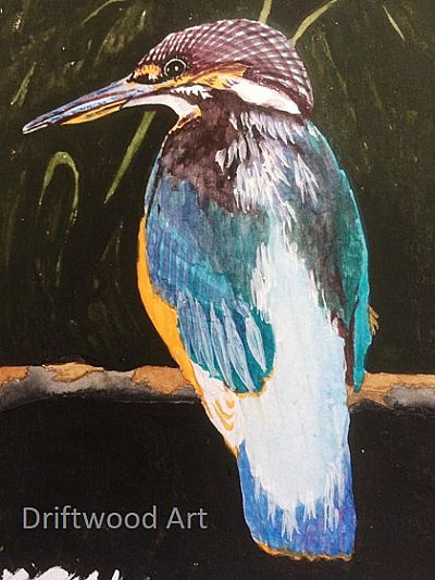 kingfisher