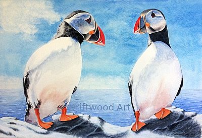 puffin talk