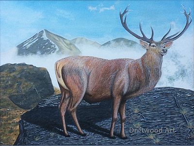 the royal of the ben